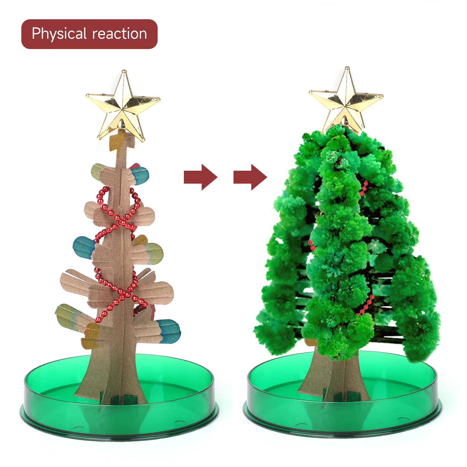Magic Growing Christmas Tree DIY