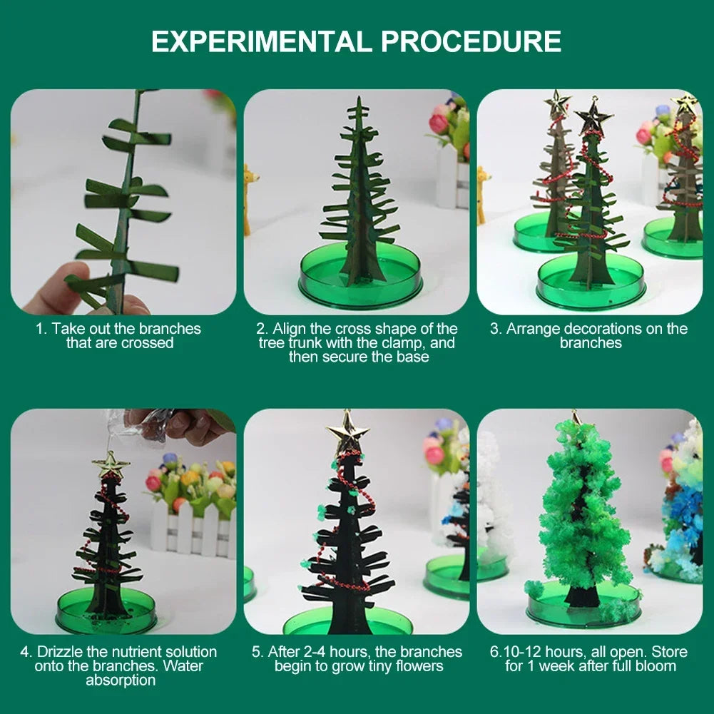 Magic Growing Christmas Tree DIY